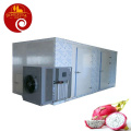 Industrial Lemon Fruit Vegetable Food Dehydrator Dry fruit Processing Machines